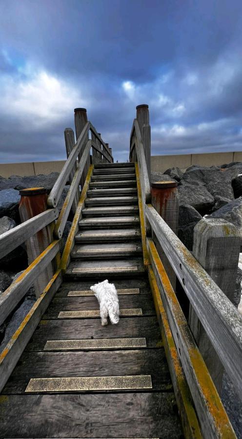 Camber Sands 6 berths 2 bath Decked, Dog Friendly Exterior foto